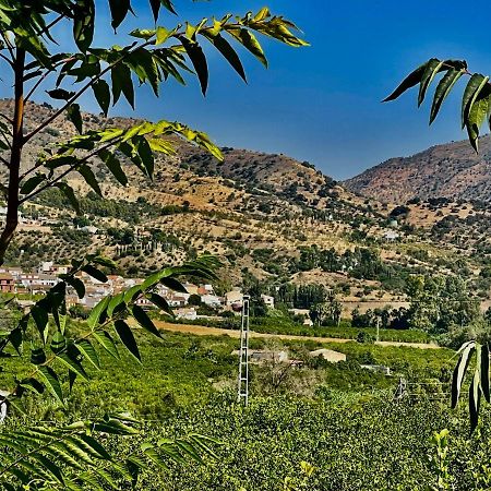 شقة ألورا  في Finca Limoneros المظهر الخارجي الصورة