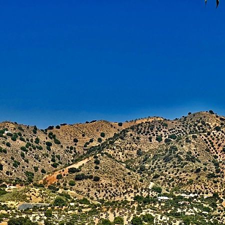 شقة ألورا  في Finca Limoneros المظهر الخارجي الصورة
